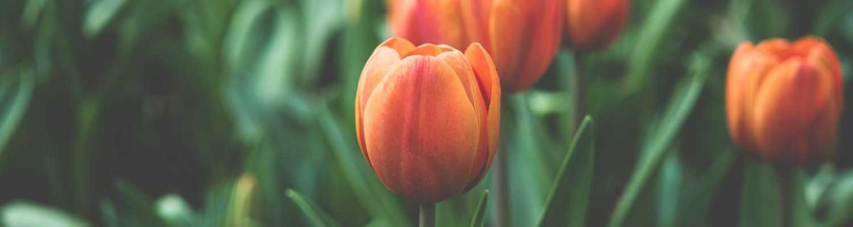 Jakie skutki dla zdrowia powoduje stres?